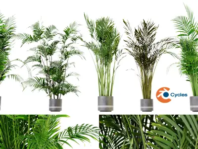 Collection plant vol 307 blender model Free 3D model