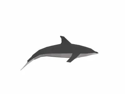 Dolphin Low poly Low-poly 3D model