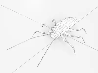 Cockroach 3d model Low-poly 3D model