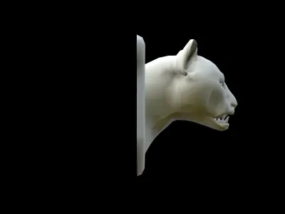 Cougar Head Low-poly 3D model