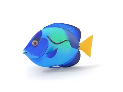 Blue Tang Fish model pack Low-poly 3D model
