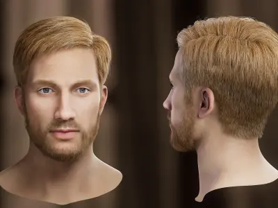 10 Hair Card Hairstyles 3D model