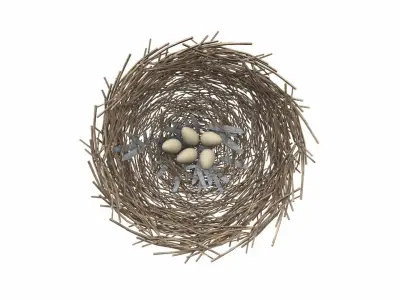 Bird nest v2 3D model