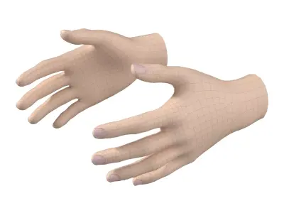 Female Hand Base Mesh 02 3D model