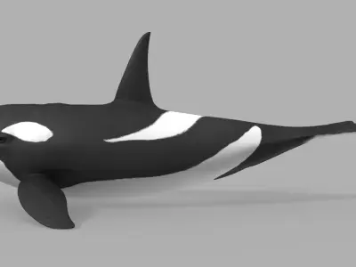 Whale Killer 3D model