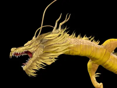 Chinese Dragon Animated 3D model