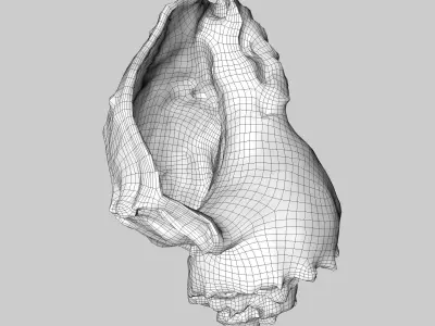 Conch shell 3D model