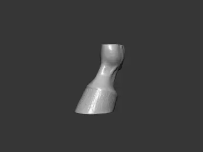 Horse Hoof Highpoly Sculpt 3D model
