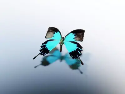 Animated Butterfly Low-poly 3D model