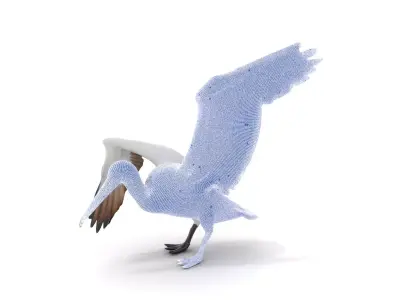 Gannet Bird model pack Low-poly 3D model