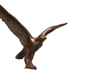 Flying Bird 3D model