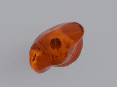 Sea Otter Skull Trapped within Amber 3D model