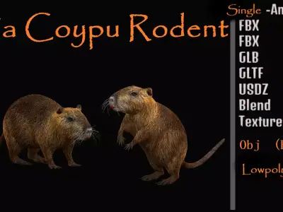 Nutria Coypu Rodent Free low-poly 3D model