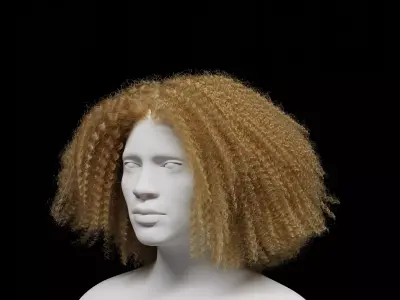 Middle Part Curls 3D model
