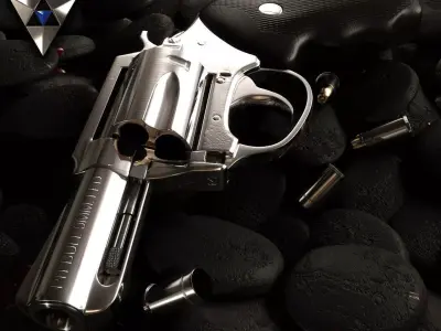 Revolver Pitt bull 9mm 3D model