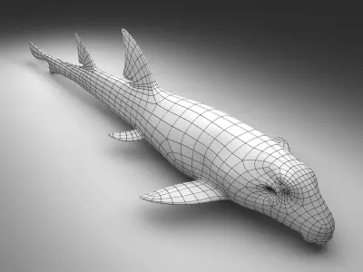 EPAULETTE SHARK Low-poly 3D model