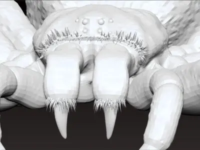 Tarantula - Gooty Sapphire Spider - Poecilotheria Metallica 3D model