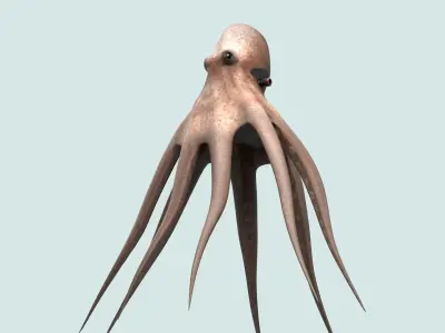 Octopus fish underwater water nature sea ocean 3D model