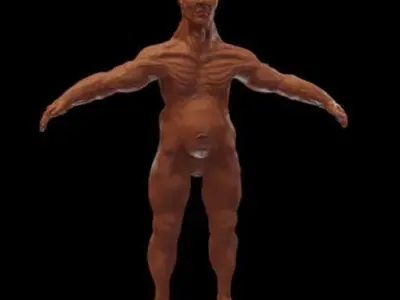 Cyclops human body 3D model