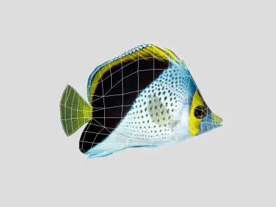 Butterflyfish Low-poly 3D model