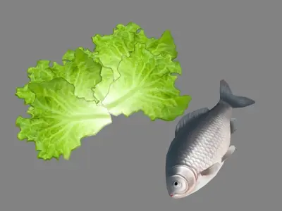 Cartoon fish and vegetable Low-poly 3D model