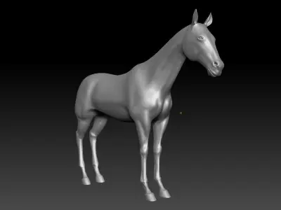 Horse animal mammal highpoly zebra metaverse biology wild 3D model