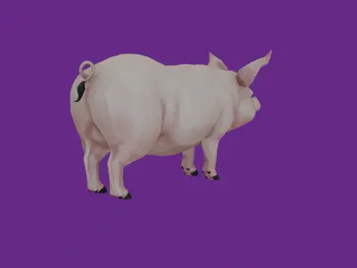 lowpoly pig 3D model