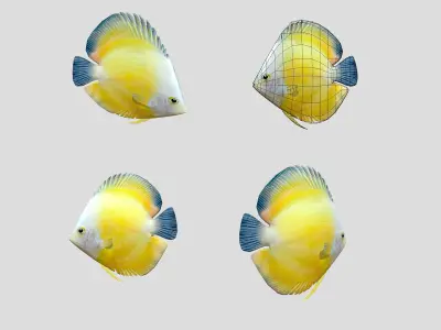 Fish Collection Animated - Game Ready Pack 5 Low-poly 3D model