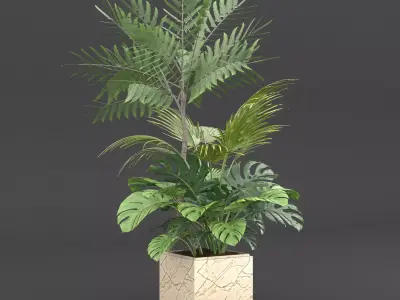 Indoor Plants Set 02 Free 3D model