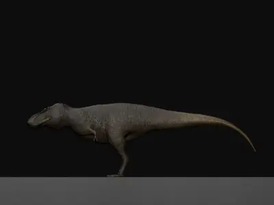 Tarbosaurus Realistic 3D Model Low-poly 3D model