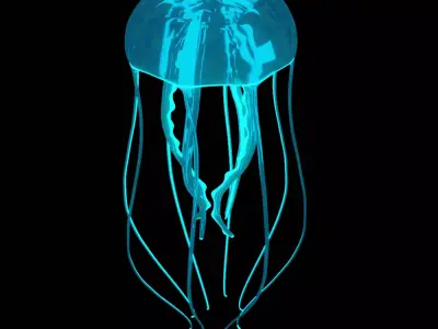 jellyfish glowing Low-poly 3D model