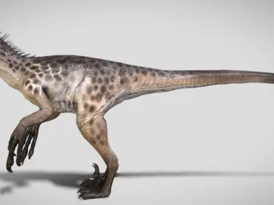 Velociraptor The Quilled Ghost of the Dunes Low-poly 3D model