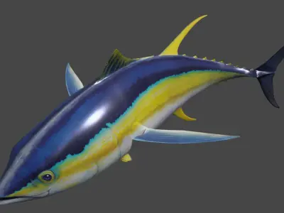Yellowfin Tuna Rigged Hi and Low Poly Versions Low-poly 3D model