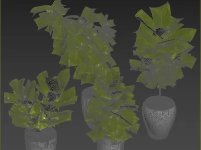 Plant Collection Rpm 06 3D model
