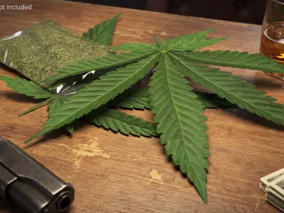 Cannabis Leafs with Dried Marijuana Green 3D model