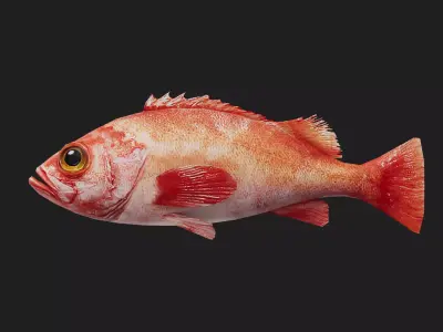 Perch Low-poly 3D model