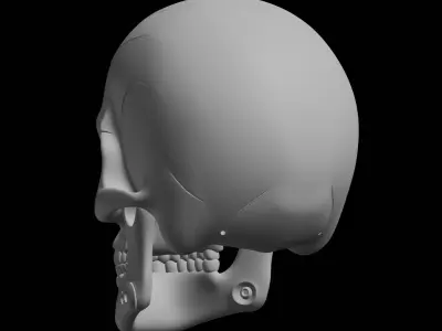 Cyber Skull Bust Model 3D print model