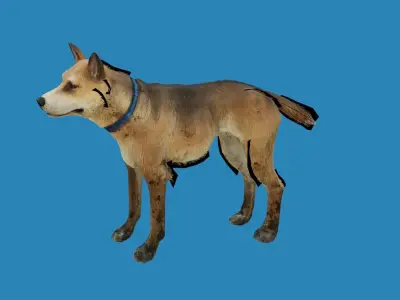 dog lowpoly 3dmodel 3D model
