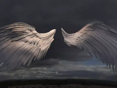 Angel wings Long with UVs 3D model