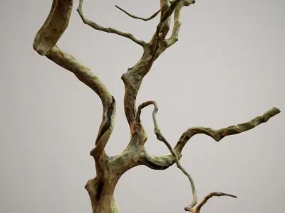 Curly tree Scan Low poly 3D model