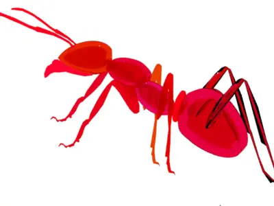 Insect ant 3D model