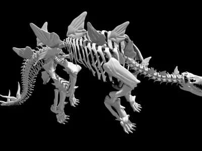 Stegosaurus skeleton Low-poly 3D model