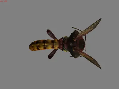 Giant Bee Animal  Low-poly 3D model