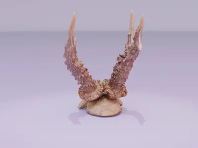 Deer skull with horns high-poly 3D model