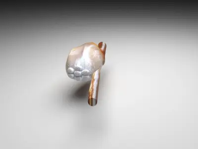 Head Louse Nit 3D model