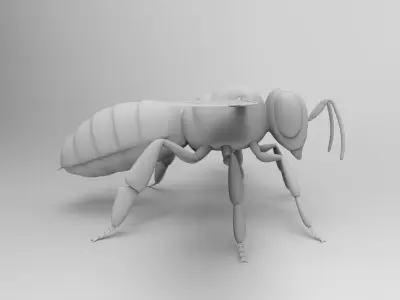 Honey Bee 3D model