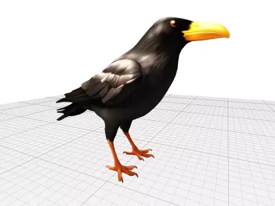 Black Raven Crow Low-poly 3D model