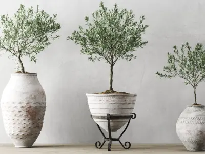 Olive European In Antique Vessels 3D model purchase