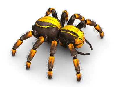 LowPoly Gigant Tarantula Spider Low-poly 3D model