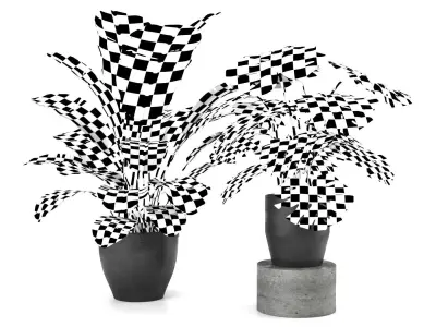 plant collection 5 two potted plants 3D model